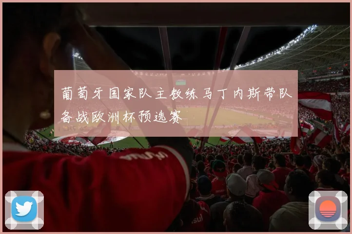 葡萄牙国家队主教练马丁内斯带队备战欧洲杯预选赛